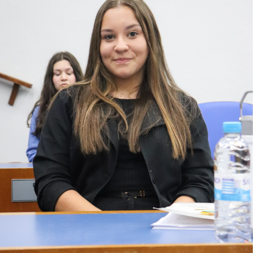 imagem galeria