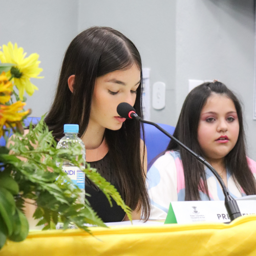 imagem galeria