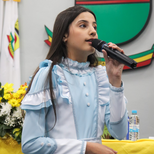imagem galeria